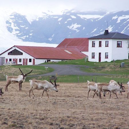 Guesthouse Hólmur المظهر الخارجي الصورة