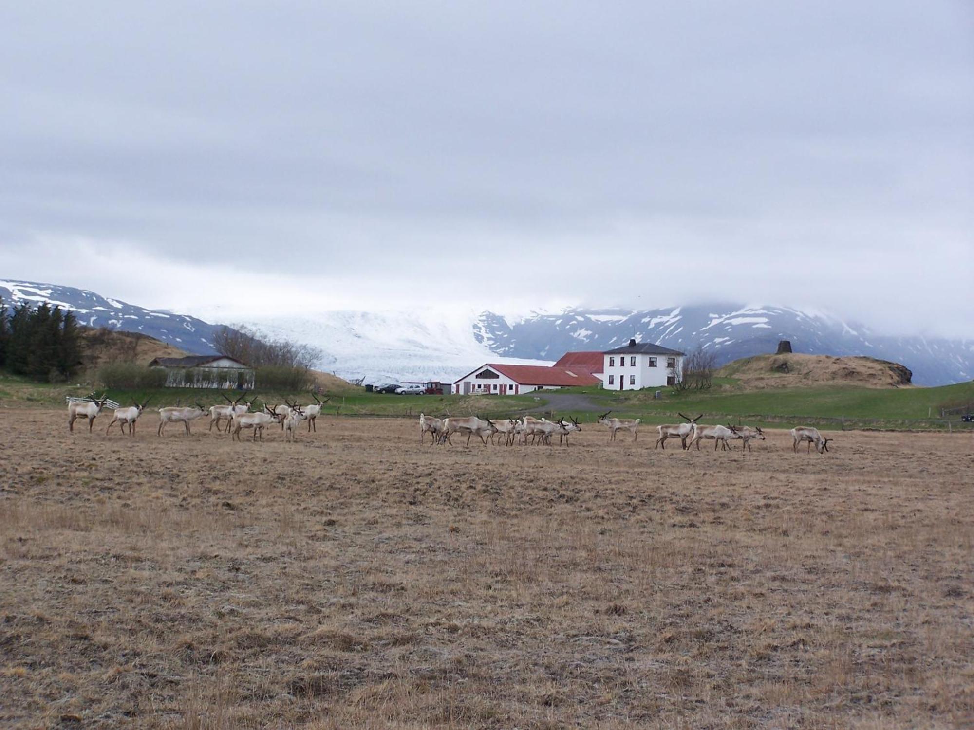 Guesthouse Hólmur المظهر الخارجي الصورة